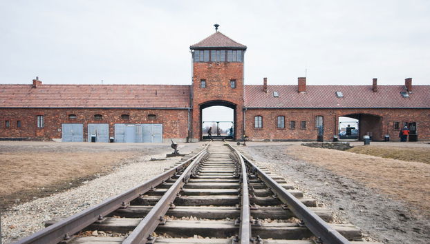 Auschwitz Day Trip - Photo 2