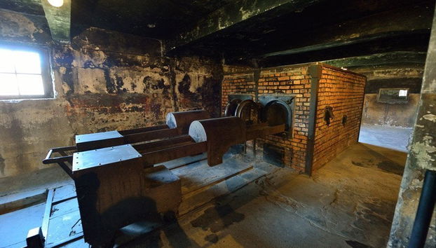 Krakow Combo: Auschwitz and Salt Mine Tour - Foto 2