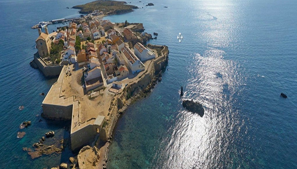 Excursión a la isla de Tabarca y el palmeral de Elche - Foto 1