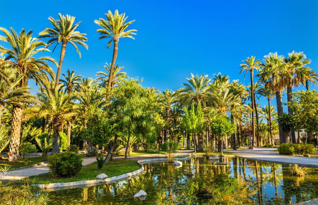 Excursión a la isla de Tabarca y el palmeral de Elche - Foto 2