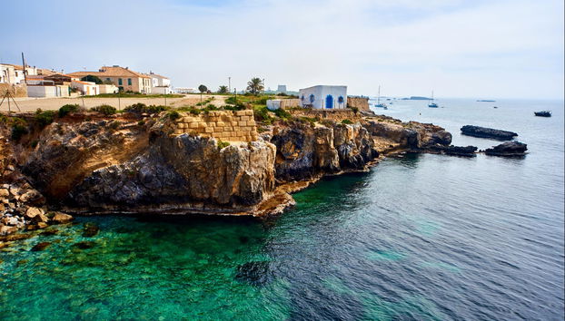 Excursión a la isla de Tabarca y el palmeral de Elche - Foto 4