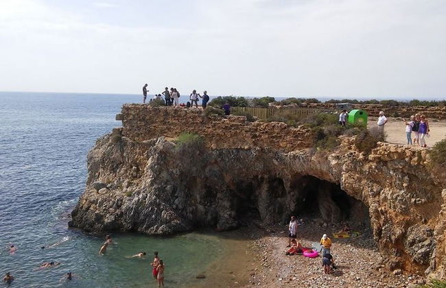Excursión a la isla de Tabarca y el palmeral de Elche - Foto 2