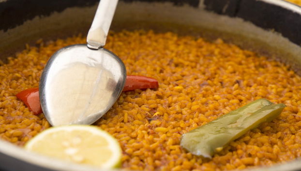 Excursión a la isla de Tabarca y el palmeral de Elche - Foto 2