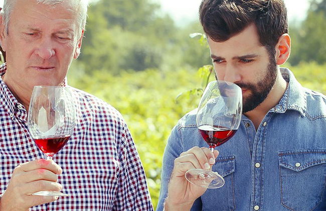 Visite à la découverte du vin à Napa et Sonoma Valley - Photo 1