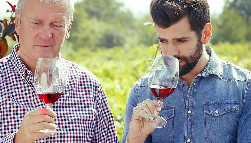 Excursión a los valles de Napa y Sonoma - Foto 3