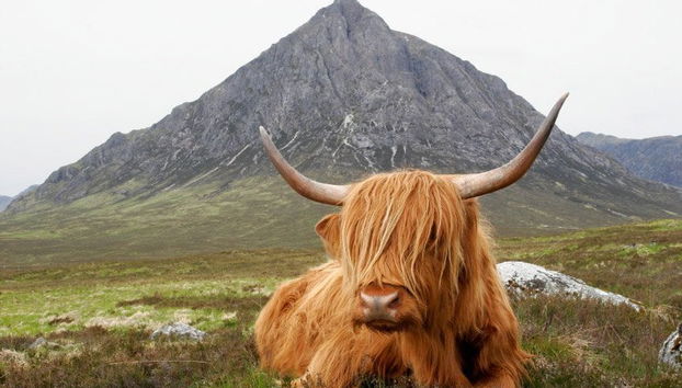 Day Trip: Stirling, Loch Lomond and the Trossachs National Park - Foto 2