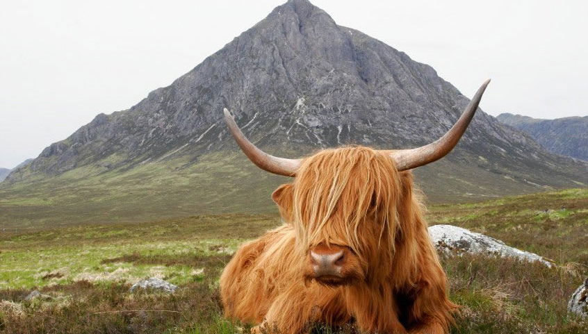 Tour de 2 dias pelo Lago Ness e Highlands escocesas - Foto 1