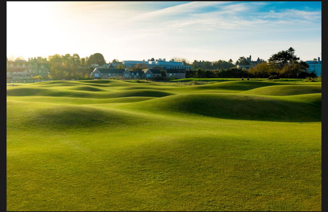 Day Trip: Stirling, Loch Lomond and the Trossachs National Park - Photo 5