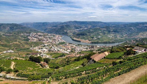 Cruzeiro de 1 dia a Régua - Foto 3