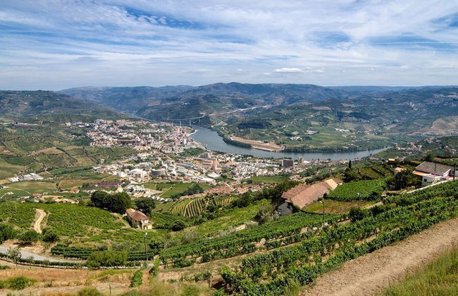 Crucero de 1 día a Régua - Foto 3