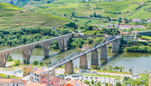 Cruzeiro de 1 dia a Régua - Foto 4