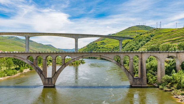 Cruzeiro de 1 dia a Régua - Foto 5