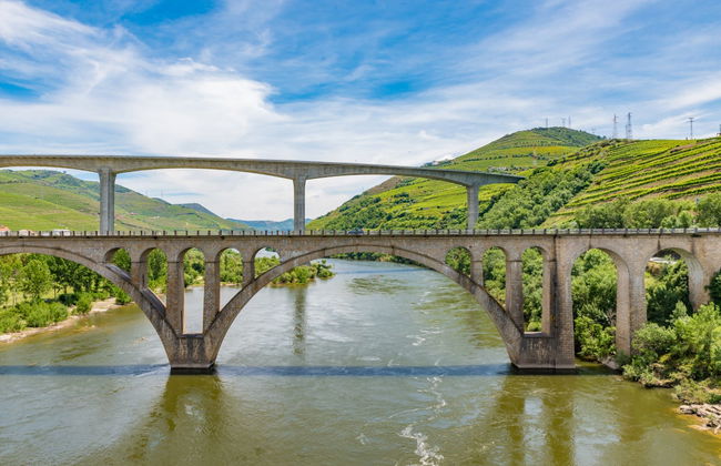 Crucero de 1 día a Régua - Foto 5