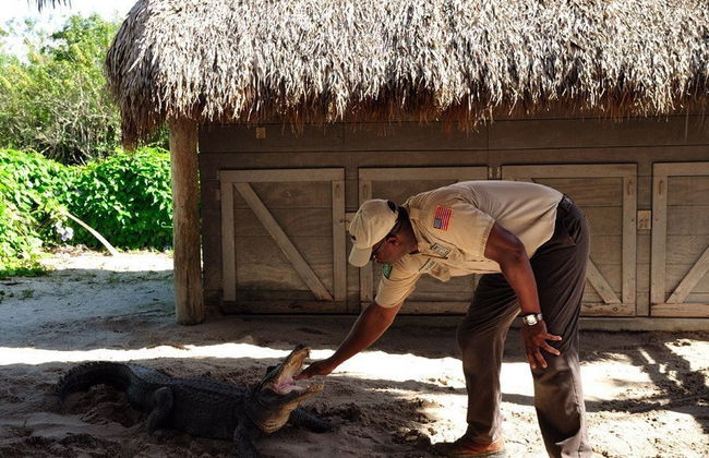 Everglades Day Trip - Photo 1