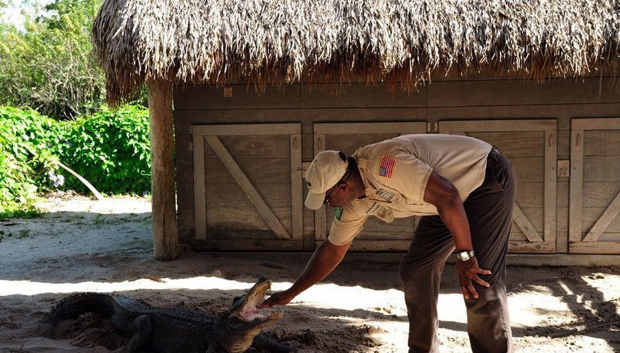 Excursión a los Everglades - Foto 1