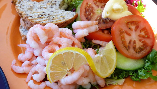 Crociera estiva sul fiordo di Oslo - Foto 5