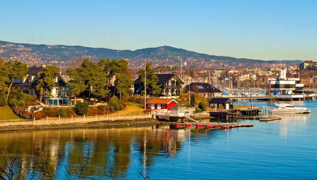 Crociera estiva sul fiordo di Oslo - Foto 3