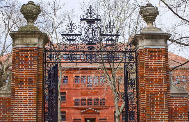 Visita guiada por Harvard - Foto 4