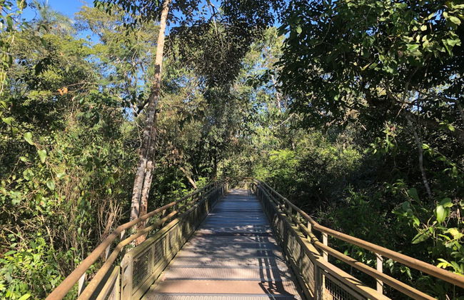 Excursión privada desde Puerto Iguazú - Foto 2