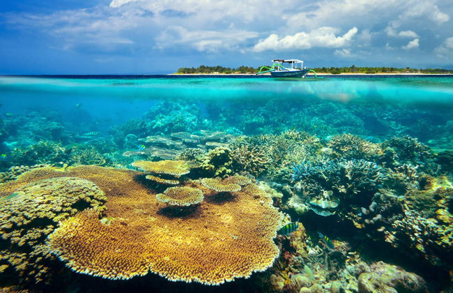 Transfert à Nusa Penida et aux îles Gili en bateau - Photo 2