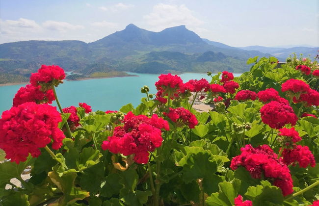 Day Trip to Ronda and the White Villages - Photo 9