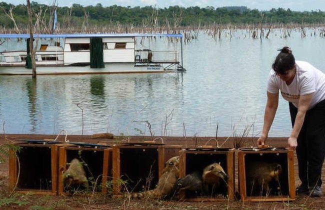 Güirá Oga Wild Animals Shelter Day Trip - Foto 7