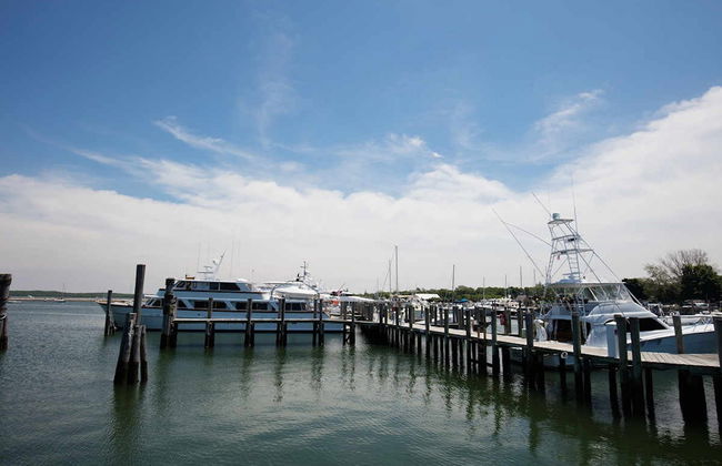 Excursão a Hamptons + Outlet Tanger - Foto 2