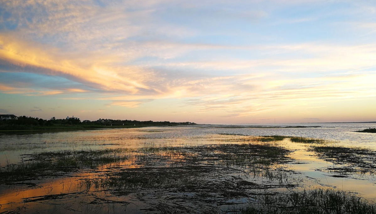 The Hamptons Day Trip - Photo 1
