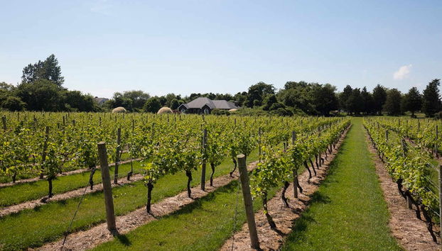 Excursion à Southampton, Sag Harbor et Tanger Outlets - Photo 5