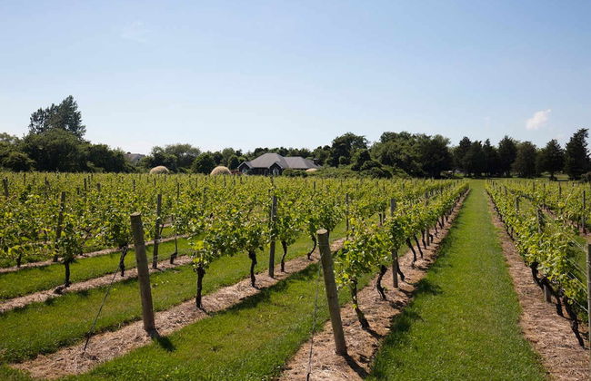 Excursão a Hamptons + Outlet Tanger - Foto 5