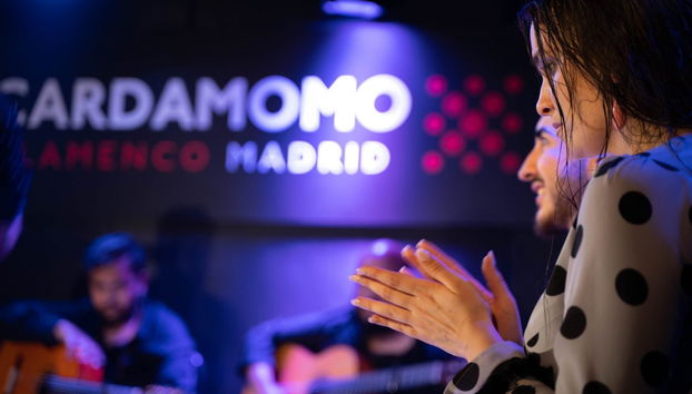 Spettacolo flamenco nel Tablao Cardamomo - Foto 5