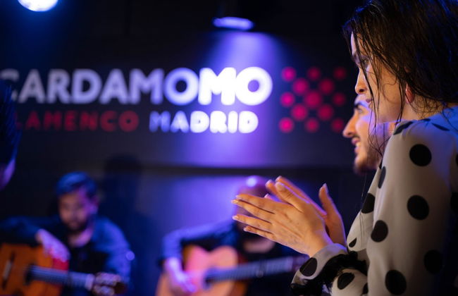 Spettacolo flamenco nel Tablao Cardamomo - Foto 6