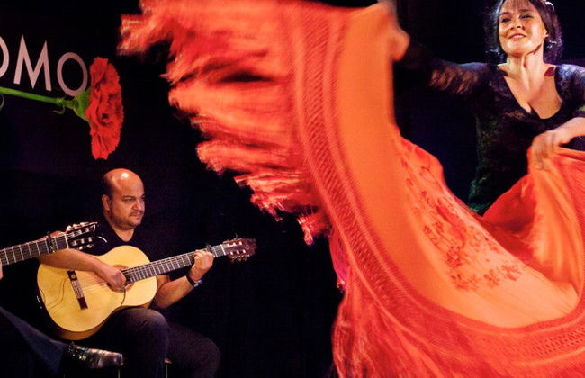 Spettacolo flamenco nel Tablao Cardamomo - Foto 7