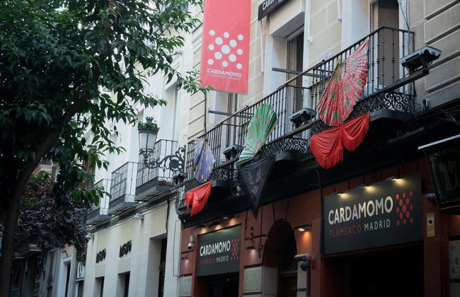 Spettacolo flamenco nel Tablao Cardamomo - Foto 4