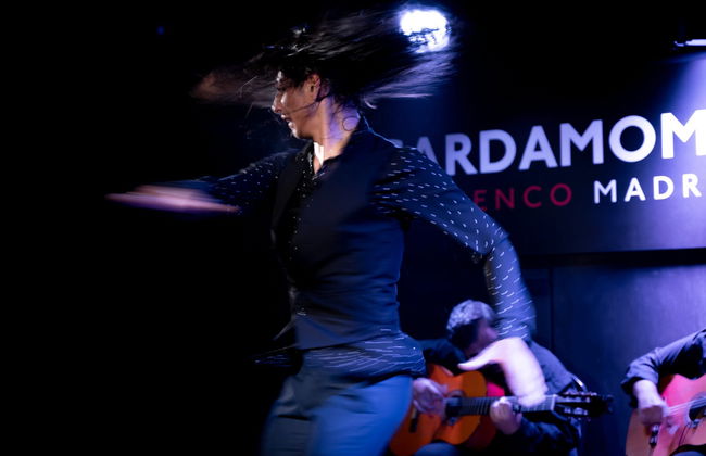 Spettacolo flamenco nel Tablao Cardamomo - Foto 3