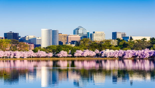 Excursão a Washington DC e à Filadélfia - Foto 2