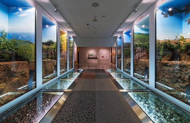 Entrada a un museo de WOW Porto - Foto 2