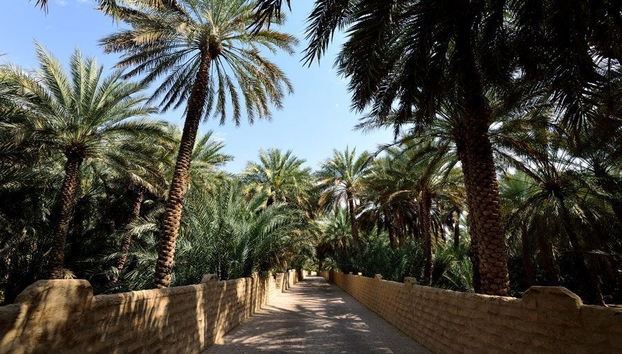 Excursión a Al Ain - Foto 2