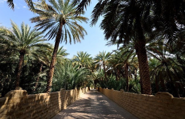 Excursión a Al Ain - Foto 2