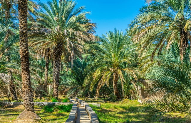 Excursión a Al Ain - Foto 3