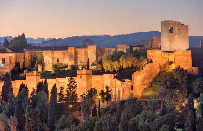 Tour de Málaga al completo con entradas - Foto 5
