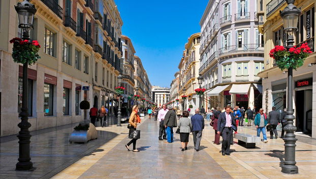 Tour privado por Málaga ¡Tú eliges - Foto 3