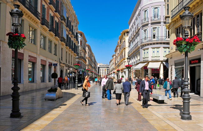 Tour privado por Málaga ¡Tú eliges - Foto 3