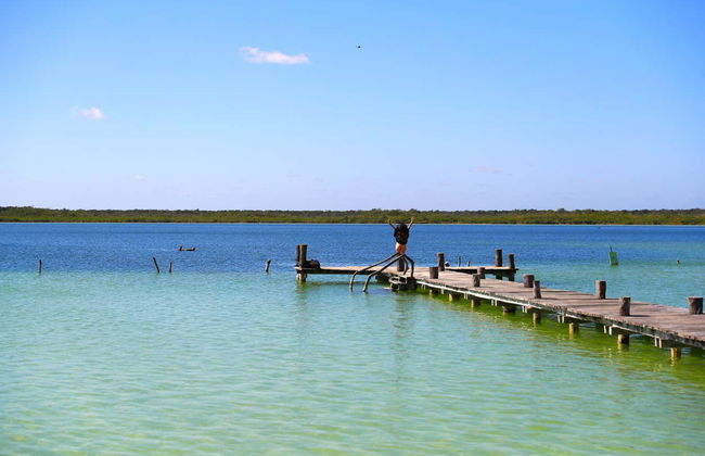 Excursión a la laguna de Kaan Luum y cenotes mayas - Foto 24