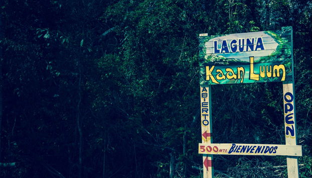Kaan Luum Lagoon Day Trip + Maya Cenotes - Foto 3