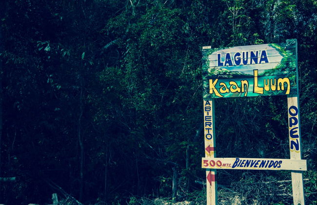 Excursión a la laguna de Kaan Luum y cenotes mayas - Foto 3