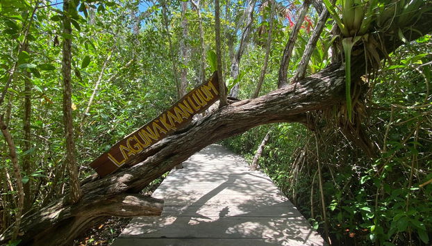 Kaan Luum Lagoon Day Trip + Maya Cenotes - Foto 4