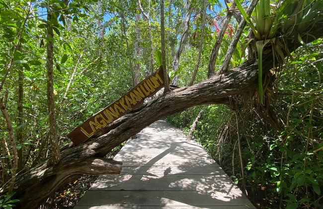 Excursión a la laguna de Kaan Luum y cenotes mayas - Foto 4