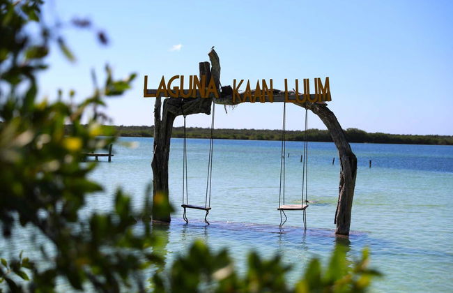 Excursión a la laguna de Kaan Luum y cenotes mayas - Foto 23