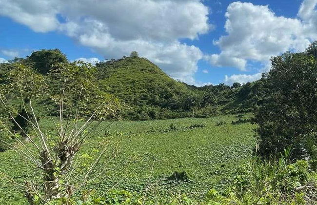 Samaná Buggy Tour - Photo 4